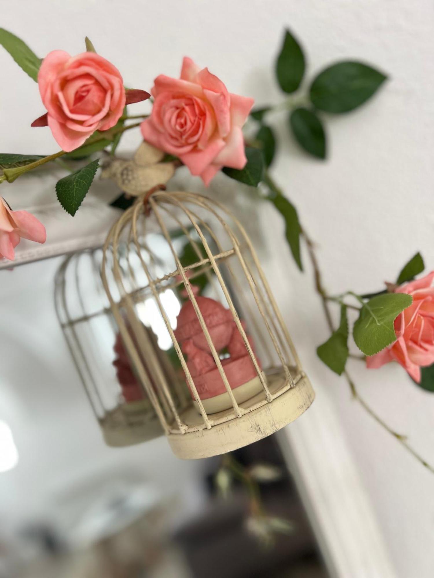 Korona Apartman Szekesfehervar Ngoại thất bức ảnh