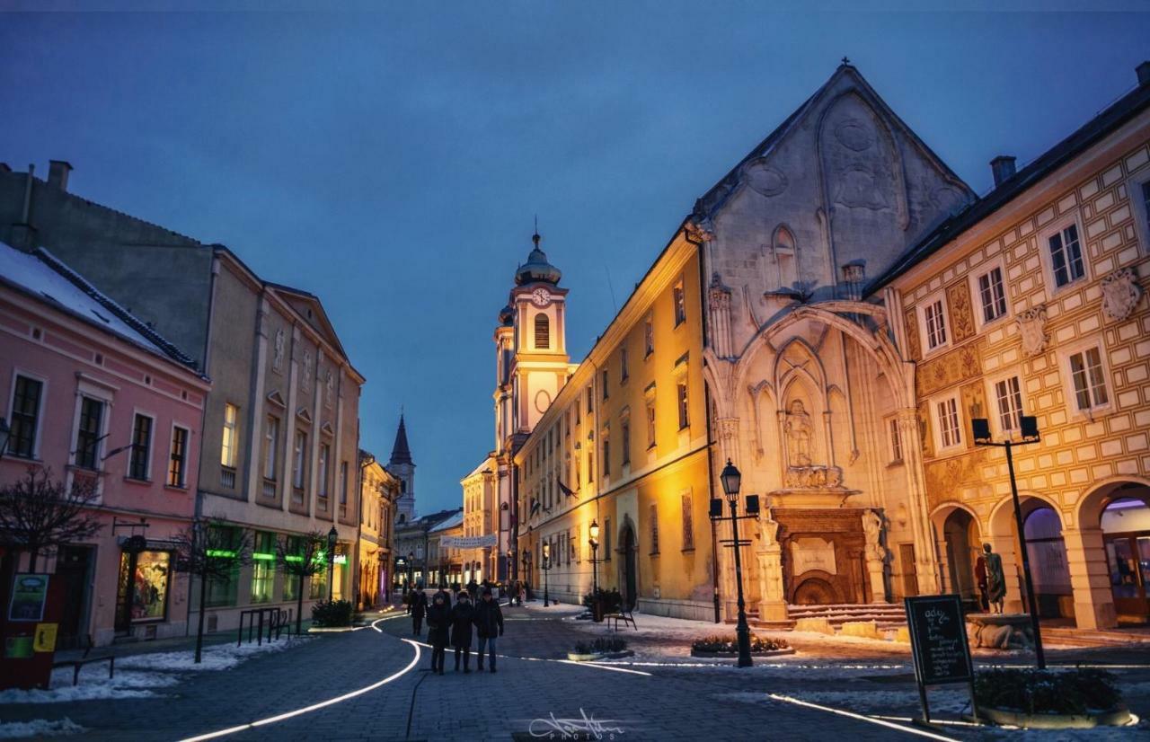 Korona Apartman Szekesfehervar Ngoại thất bức ảnh
